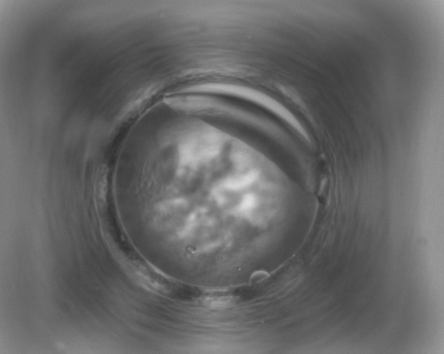 X0000083040495200702021155