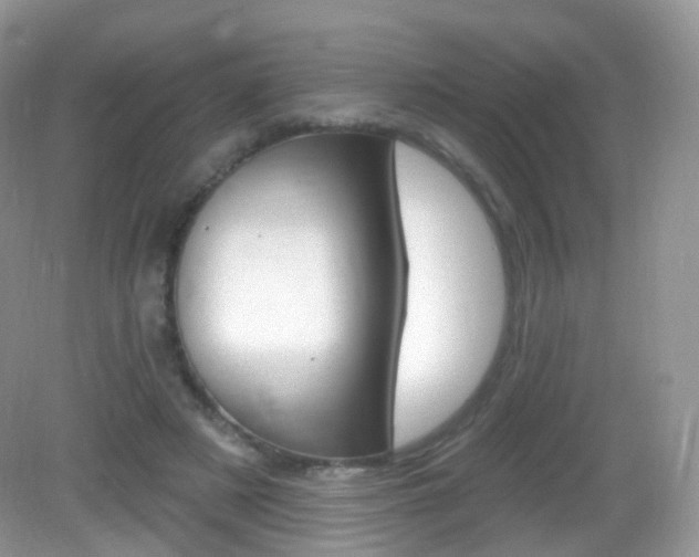 X0000083040497200702021155