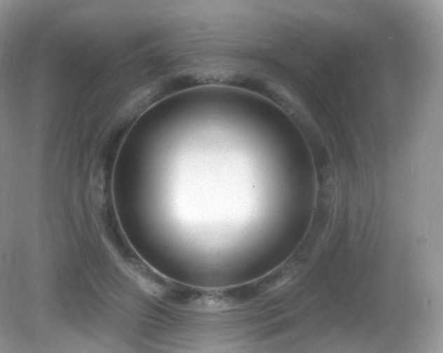 X0000083040498200702021155