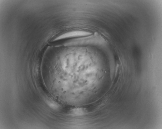 X0000083040499200702021155