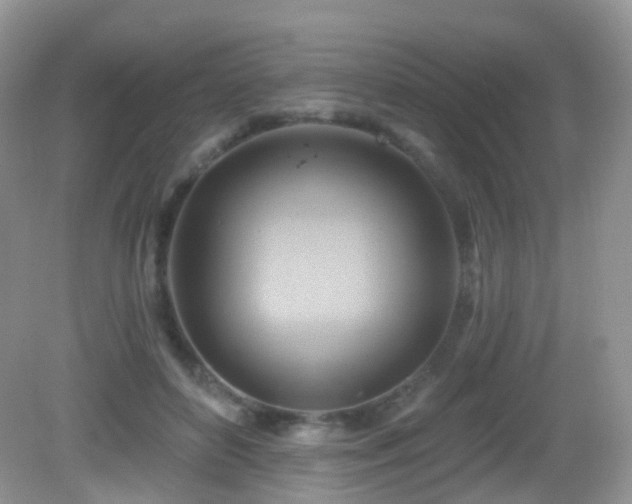 X0000083040504200702021155