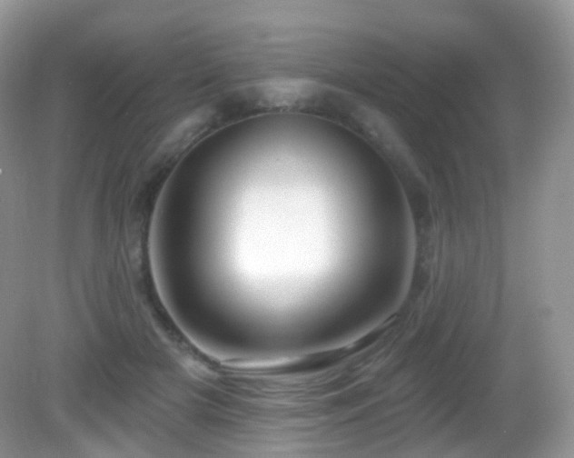 X0000083040505200702021155