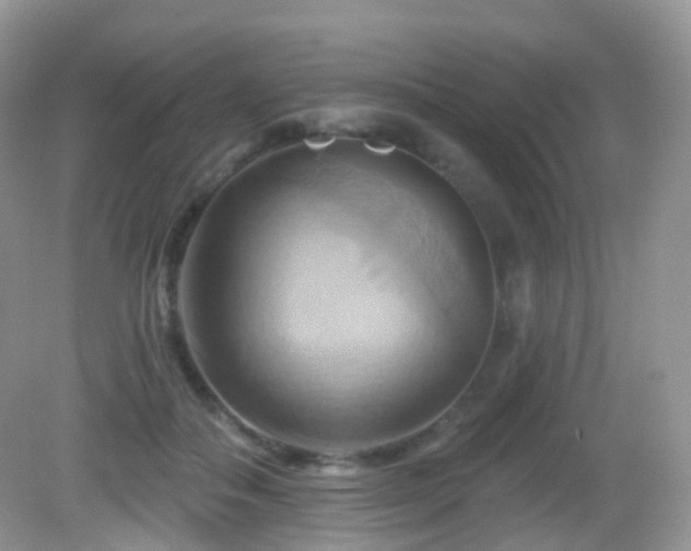 X0000083040506200702021155