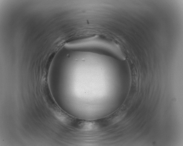 X0000083040507200702021155