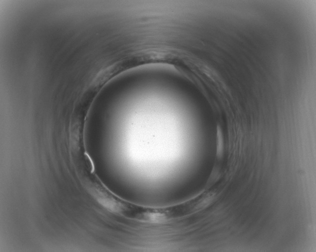 X0000083040509200702021155