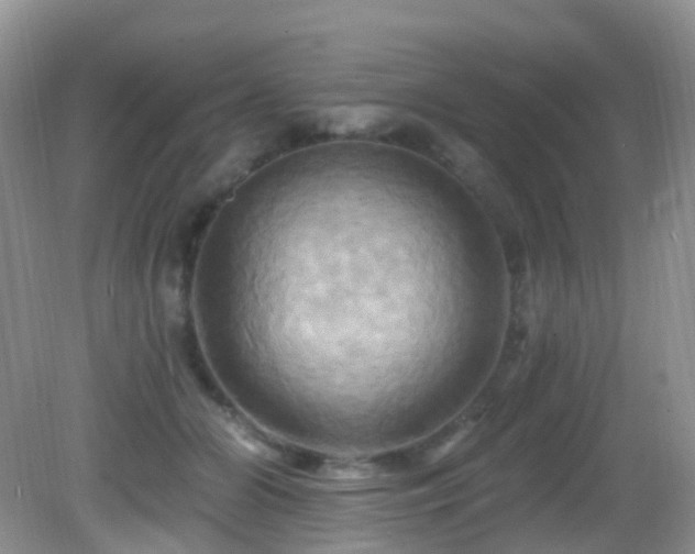 X0000083040510200702021155