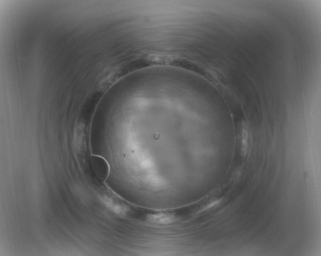 X0000083040511200702021155