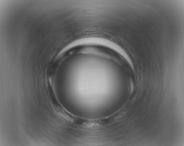 X0000083040512200702021155