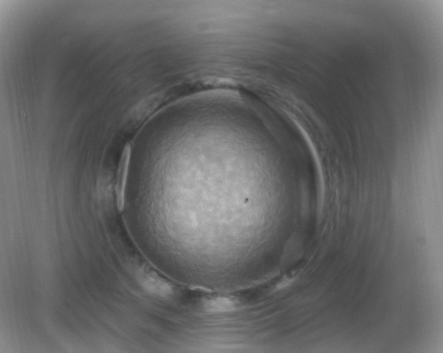 X0000083040513200702021155