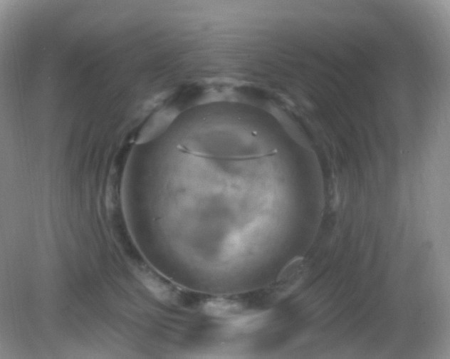 X0000083040515200702021155