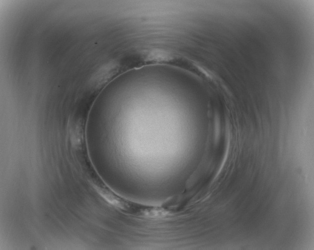 X0000083040517200702021155