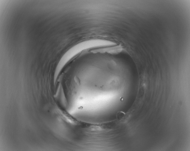 X0000083040519200702021155