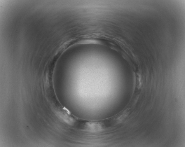 X0000083040520200702021155