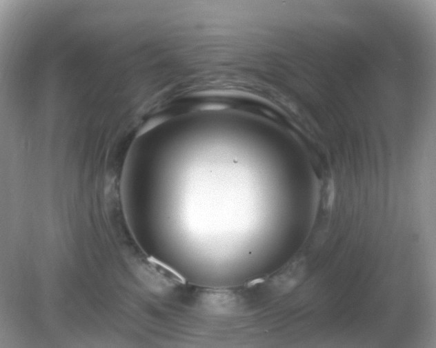 X0000083040521200702021155