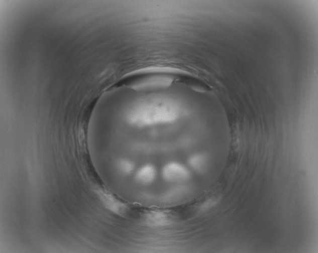 X0000083040523200702021155