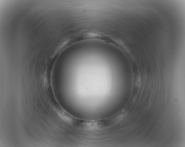 X0000083040524200702021155