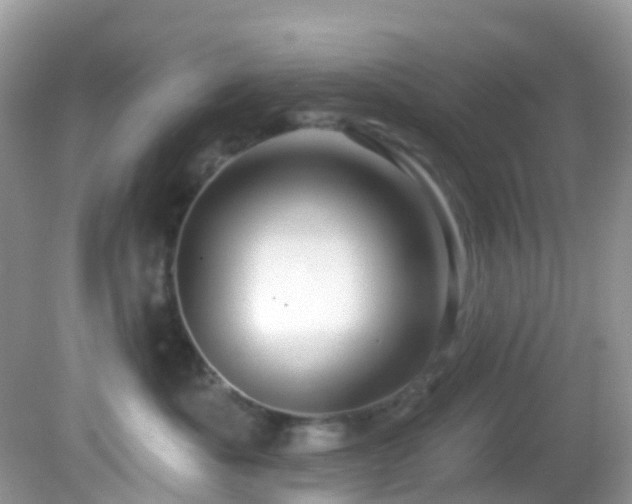 X0000083040525200702021155