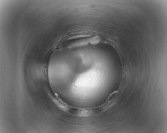 X0000083040527200702021155