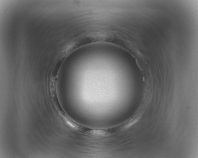 X0000083040528200702021155