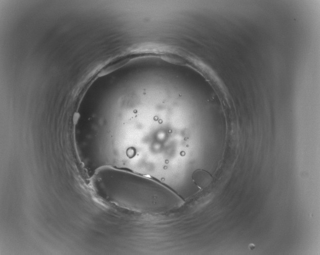 X0000083040529200702021154