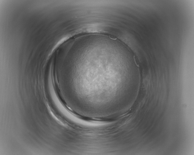 X0000083040530200702021154