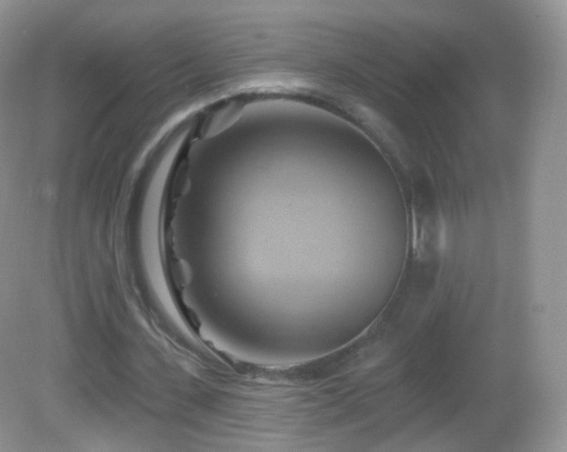 X0000083040531200702021154