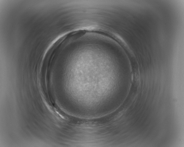 X0000083040532200702021154