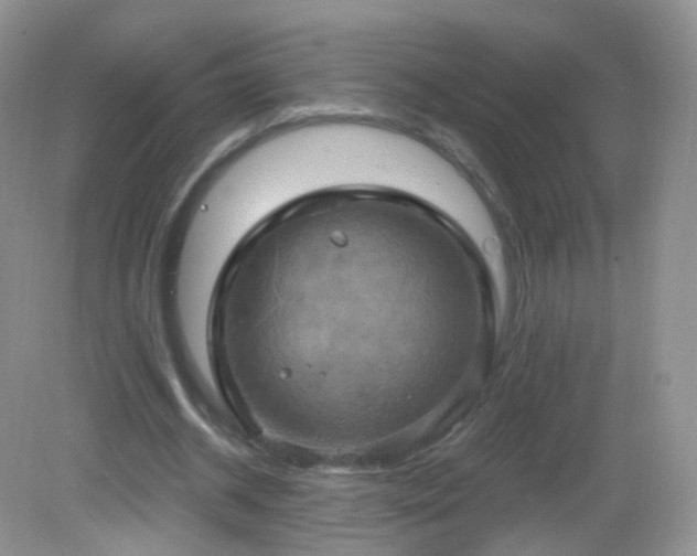 X0000083040534200702021154