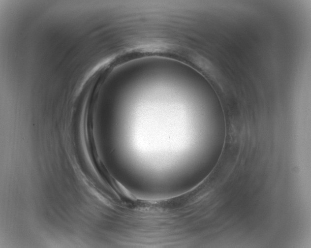 X0000083040535200702021154