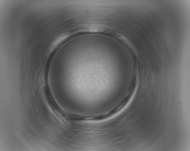 X0000083040536200702021154