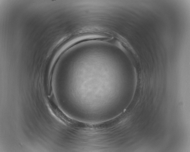 X0000083040538200702021154