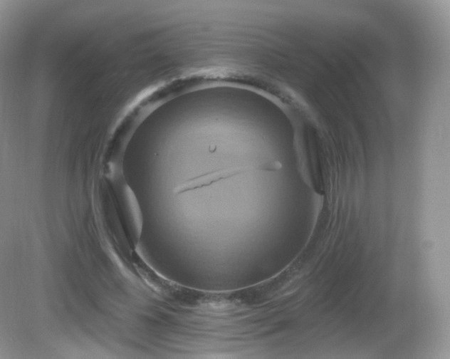 X0000083040540200702021154