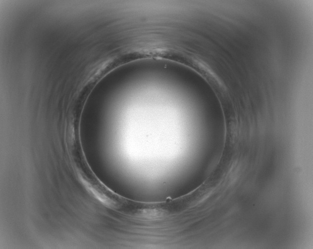 X0000083040541200702021154