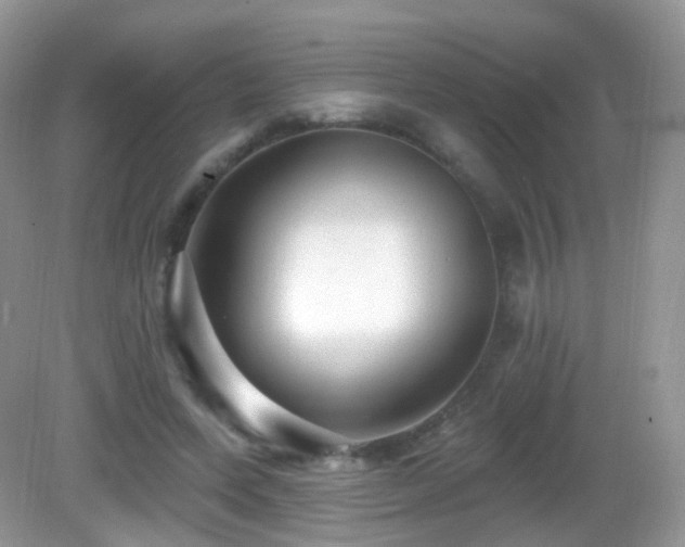 X0000083040543200702021154