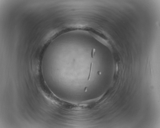 X0000083040544200702021154