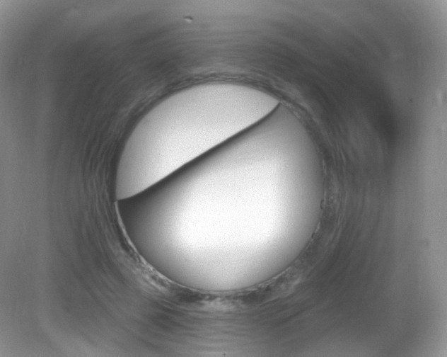 X0000083040545200702021154