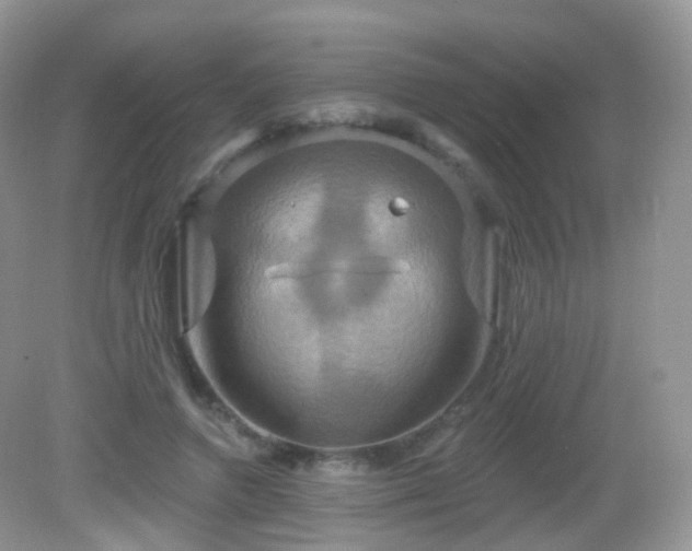 X0000083040546200702021154