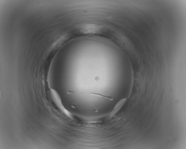 X0000083040547200702021154