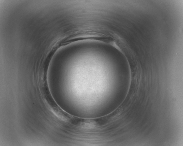 X0000083040548200702021154