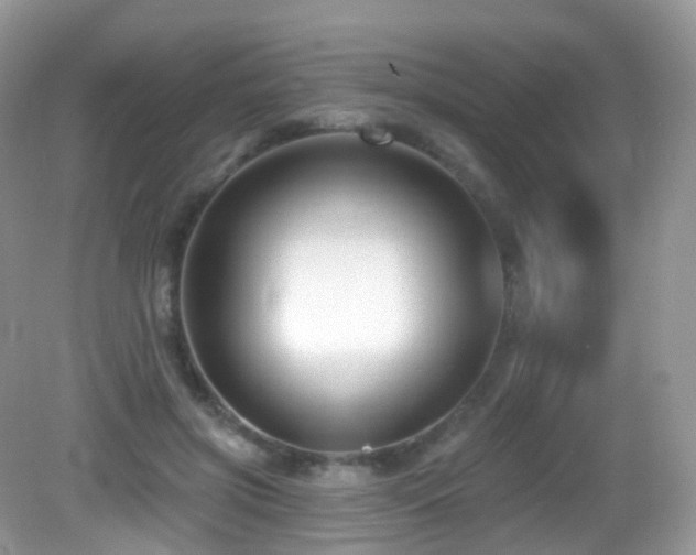 X0000083040549200702021154