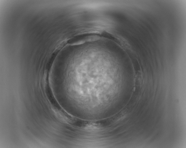 X0000083040550200702021154