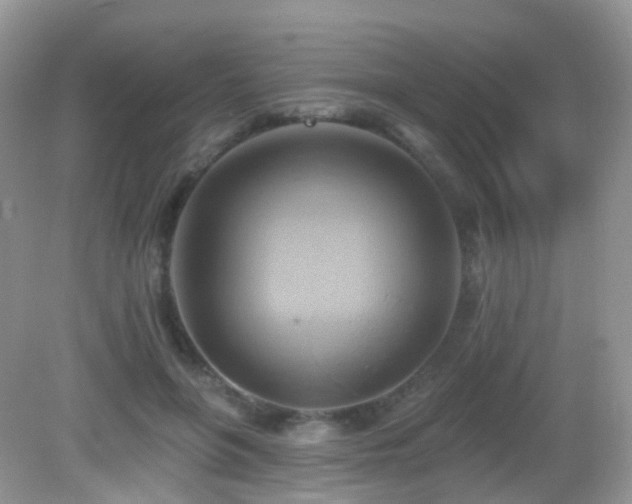 X0000083040551200702021154