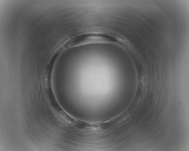 X0000083040552200702021154