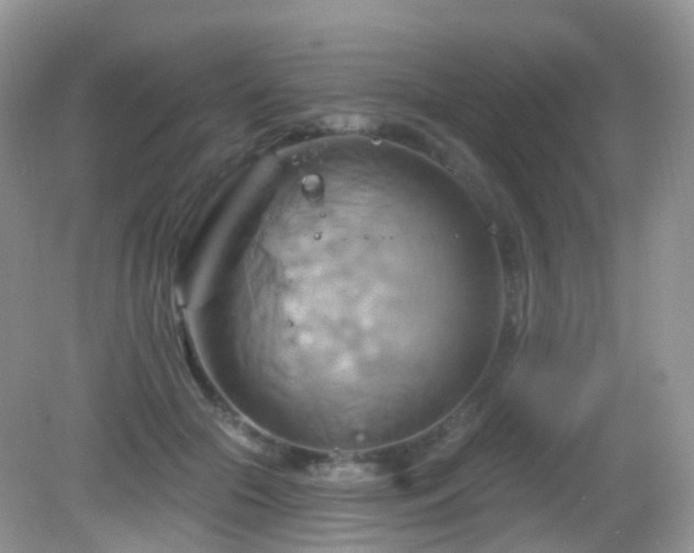 X0000083040553200702021154