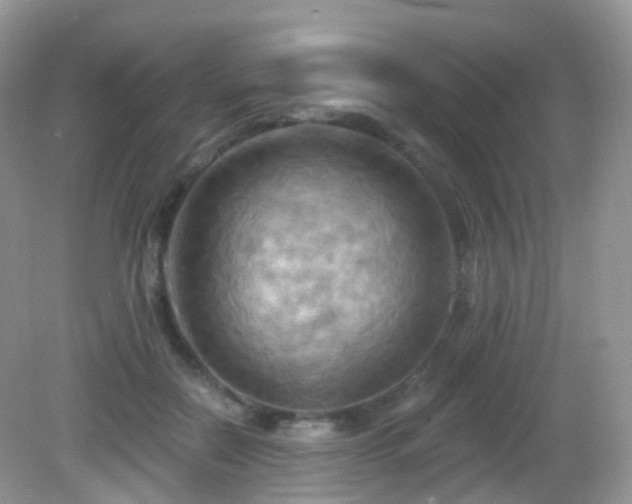 X0000083040554200702021154