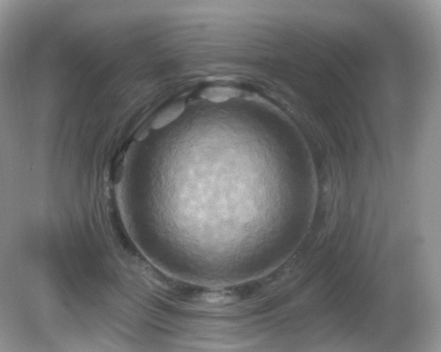 X0000083040555200702021154