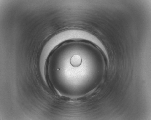 X0000083040556200702021154