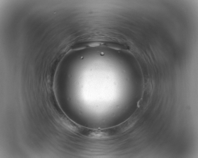 X0000083040557200702021155