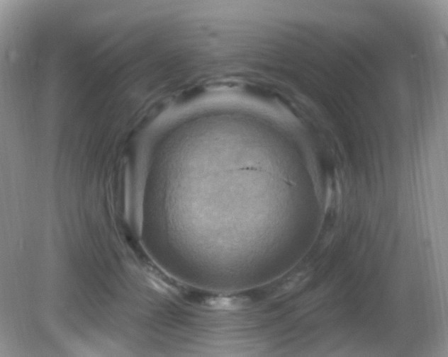 X0000083040558200702021155