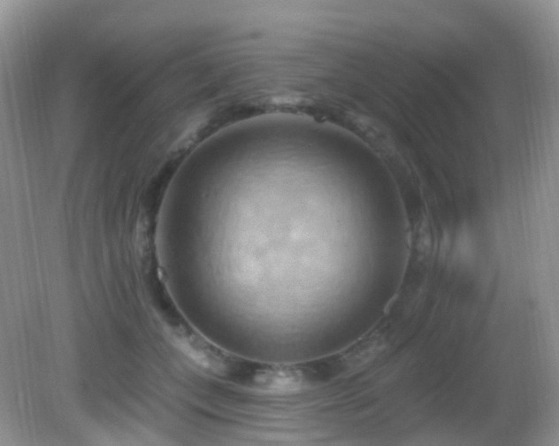 X0000083040559200702021155